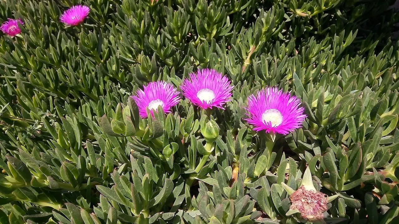 בית נופש הוילה נוטו La Cascina Di Barone איטליה